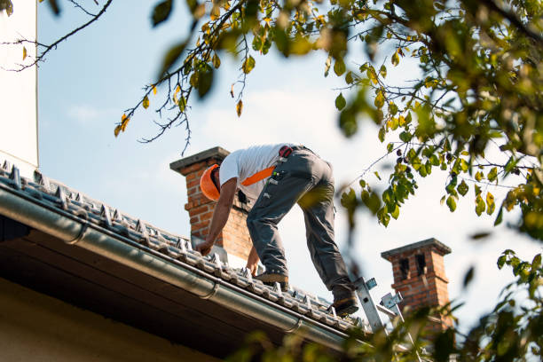 Best Best Roofing Contractors  in Plainville, KS